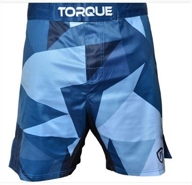 אגרוף MMA של Muay Thai